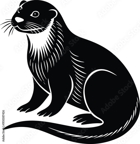 Vector black and white ferret illustration