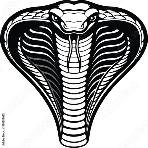 Vector cobra head illustration