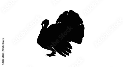 Black silhouette of a turkey bird.