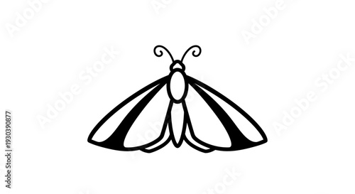 Detailed illustration of a moth.