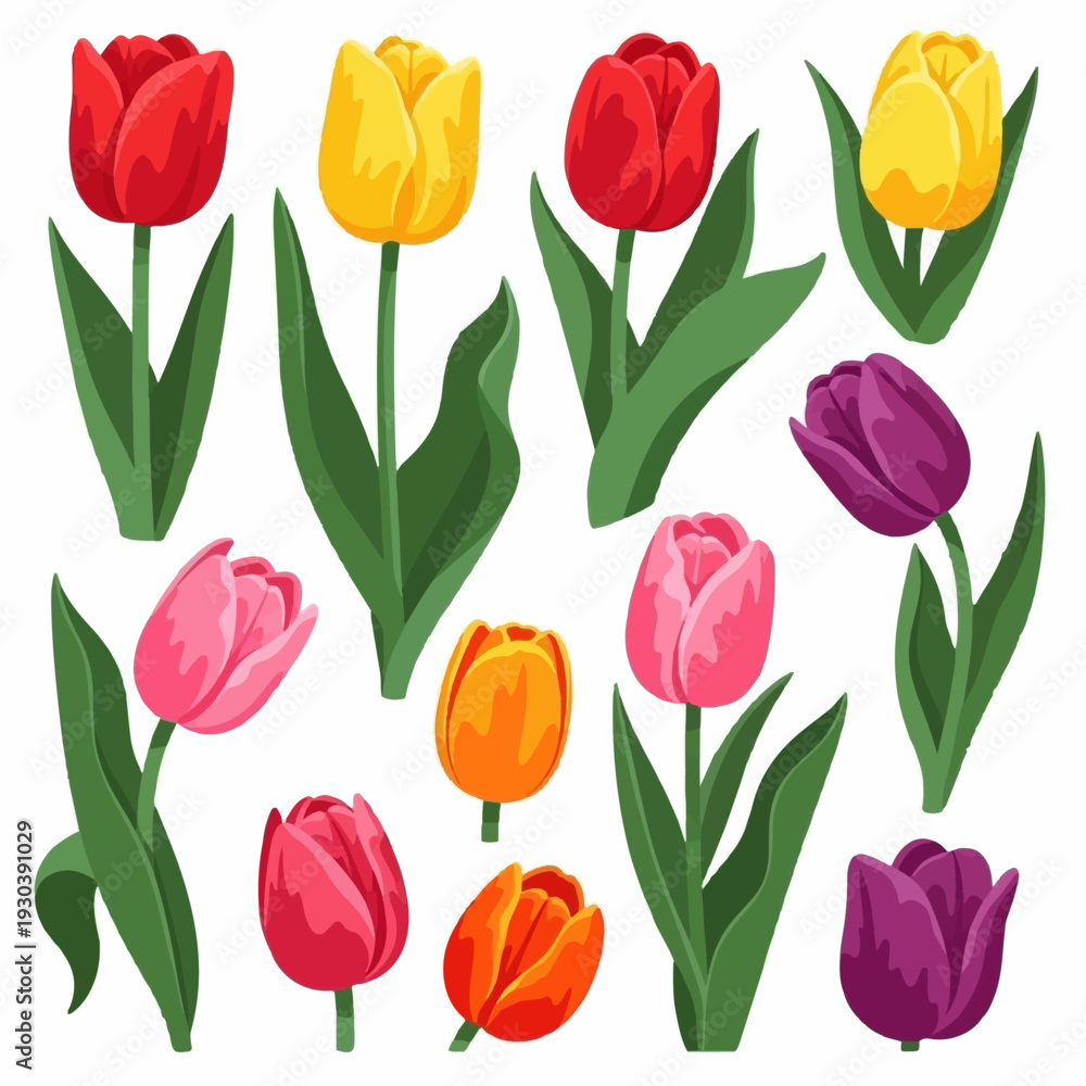 Obraz premium Collection of vividly colored tulips in red, yellow, pink, and purple hues are displayed with long green stems and leaves against a white.