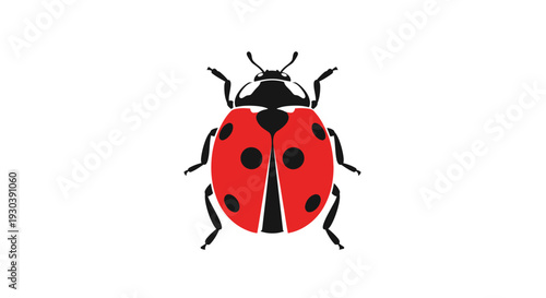 Red ladybug with black spots insect.