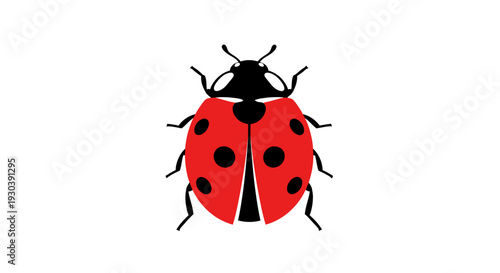 Red ladybug with black spots insect.