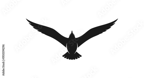 Black bird flying in air.