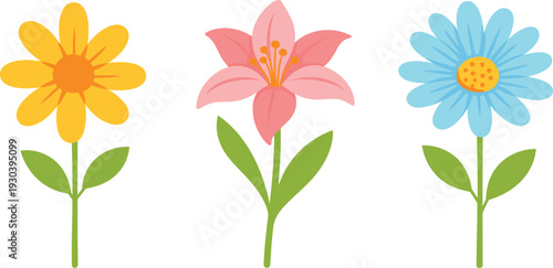 Three colorful blooming flowers on transparent background perfect for spring designs