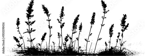 Alpine meadow grass tufts in high contrast stencil style for design projects