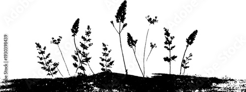 High contrast alpine meadow grass tufts stencil design for nature-inspired art