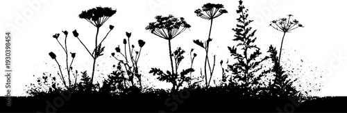 Alpine meadow grass silhouette in high contrast stencil style for nature-inspired designs