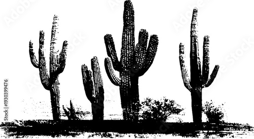 Desert cactus cluster in high-contrast stencil style for artistic design