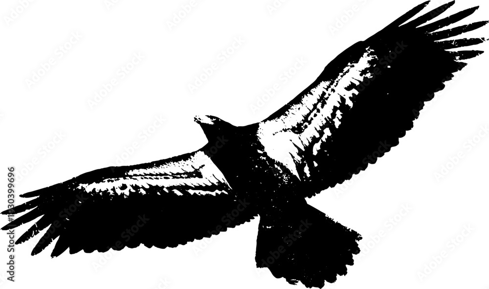 Fototapeta premium Majestic eagle flying silhouette in high contrast stencil art for nature and wildlife design