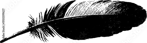 Abstract high contrast feather quill in stencil style for artistic designs