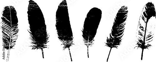 Abstract down feather quill stencil design in high contrast for artistic prints