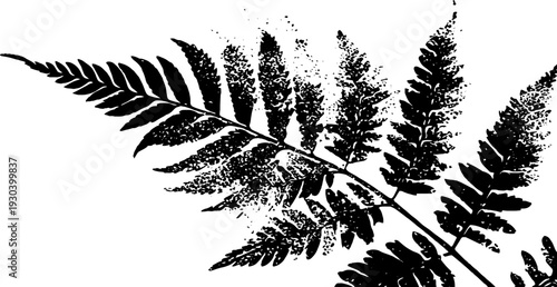 Abstract grunge fern frond curl in high contrast stencil style for nature design