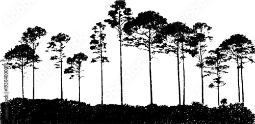 High contrast forest canopy silhouette in stencil style for nature art and design