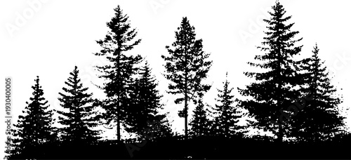 High contrast forest canopy silhouette in stencil style for nature designs
