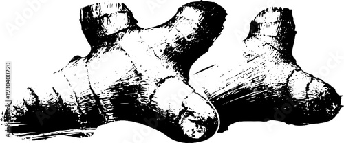 High contrast abstract ginger rhizome joints design