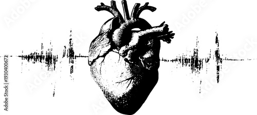Heartbeat and anatomical heart in stencil style for medical and artistic design