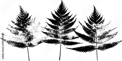 Abstract kelp frond blade stencil design in high contrast for decor and art projects