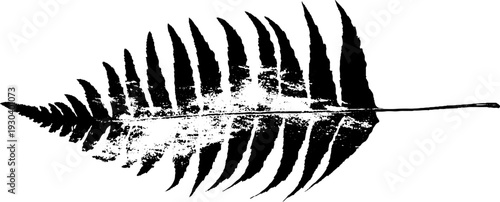 Abstract high contrast kelp frond blade in stencil style for design