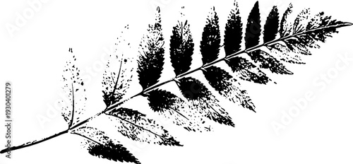 Abstract leaf vein stencil design with high contrast for artistic prints and decor