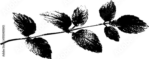 High contrast abstract mint leaf veins stencil design for natural-themed projects