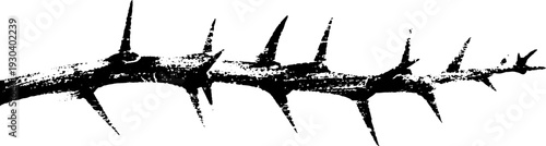 High contrast ocotillo thorn segment in stencil style for abstract natural designs