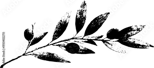 Abstract stencil olive branch design for artistic decor and prints