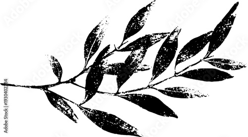 Olive branch sprig stencil design in high contrast abstract style for art and decor