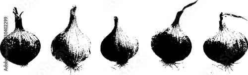High contrast onion bulb layers stencil for abstract design