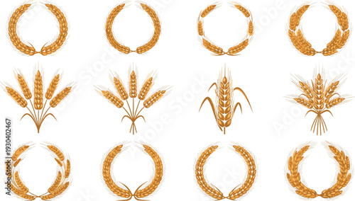 Golden Wheat Ears and Wreath Illustration Set