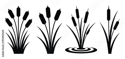 Cattail Plants Silhouette Vector Illustration Set