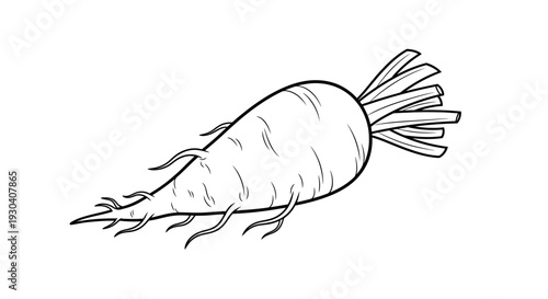 Carrot Vector Illustration, Flat Design, Healthy Food, Organic Vegetable, Dieting