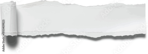 Torn white paper strip with rolled edge suggests revealing new content.