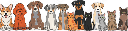 Cute dog and cat collection illustration featuring different breeds sitting together, flat vector pet character set for animal lovers, kids, and friendly design projects