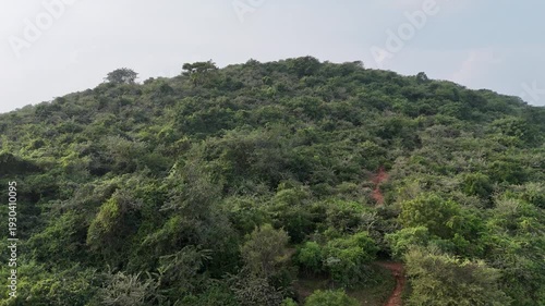 A breathtaking drone view of a dense green forest with a small mud road winding through the trees. The peaceful path cuts across the lush landscape, showing the beauty n serenity of nature from above.