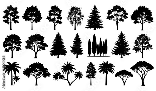 Detailed tree silhouettes vector set with mixed species isolated on white background