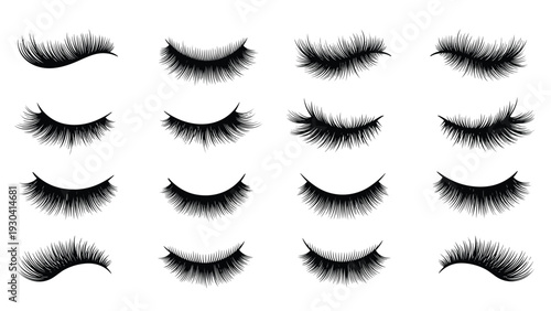 Detailed set of black eyelash extensions shows various lengths and styles for professional beauty and makeup applications.