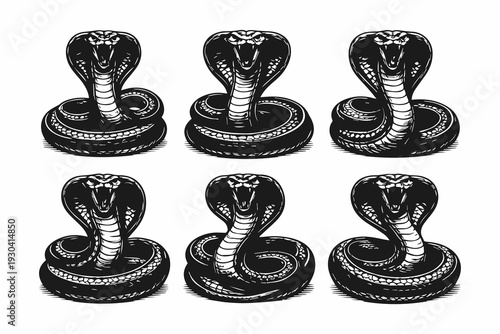 set of Snake silhouette vector illustration isolated on white background