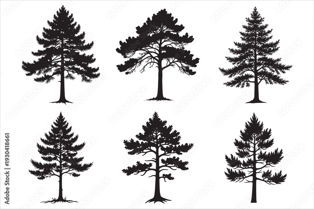 Obraz premium Six black pine tree silhouettes on white background 1