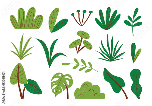 Collection of green plants and leaves with brown stems