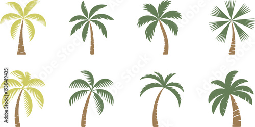 Set of stylized palm tree illustrations, tropical coconut trees collection, flat vector summer island design isolated on white background