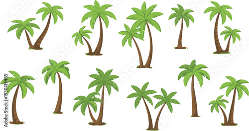 Set of stylized tropical palm trees, cartoon coconut island plants collection, detailed summer vector illustration isolated on white background