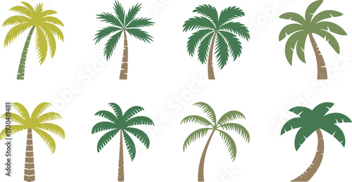 Stylized palm tree illustration set, tropical coconut trees collection, flat summer island vector design isolated on white background