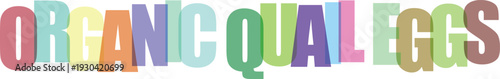 Colorful text letters organic quail eggs typography