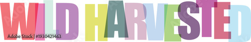 Colorful text displaying wild harvested against a light blue background multi-colored