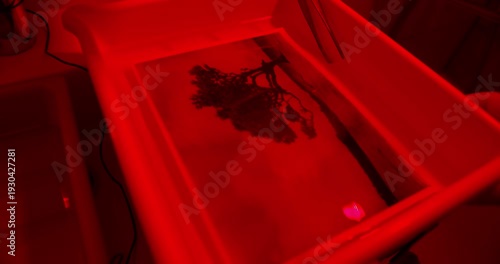 Professional darkroom photo printing with print fixing for image permanence and archival stability