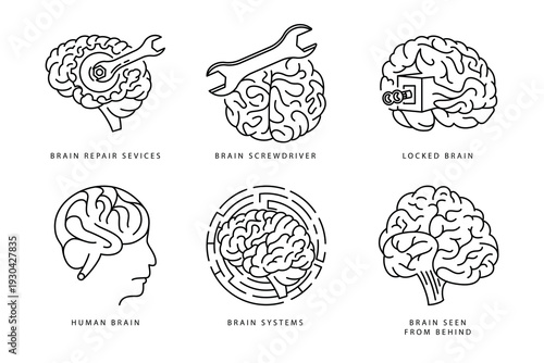 Six line brain with tools and concepts human brain