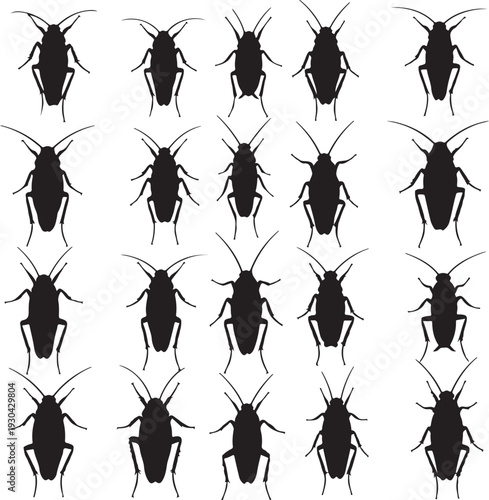 The big set of silhouettes of cockroaches.
