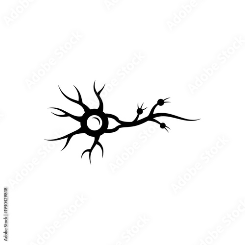 Black Silhouette of a Neuron with Dendrites and Axon