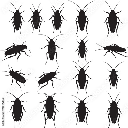 The big set of silhouettes of cockroaches.